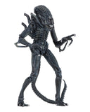 Figura de Acción Alien Warrior 7" Azul NECA | 51647