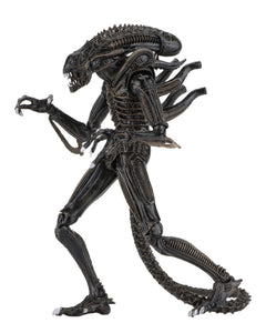 Figura Alien 7" Warrior 1986 NECA NC-51683