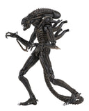 FIGURA ALIEN- 7" WARRIOR 1986 NECA (51644) NC-51683