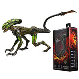 "Figura Burster Alien de Aliens Fireteam Elite en su empaque original de NECA."
