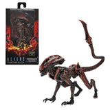 "Figura Aliens Fireteam Elite Prowler Alien NECA en su empaque original."