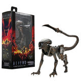 "Figura Runner Alien de Aliens Fireteam Elite en su empaque original de NECA."