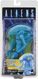 "Figura Warrior Alien de 7 pulgadas de NECA en su empaque original, mostrando el diseño detallado del xenomorfo."