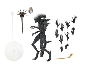 [PRE-VENTA] Figura Alien Romulus Scorched Xenomorph 7 Pulgadas NECA 51741 [PRECIO REGULAR S/265]