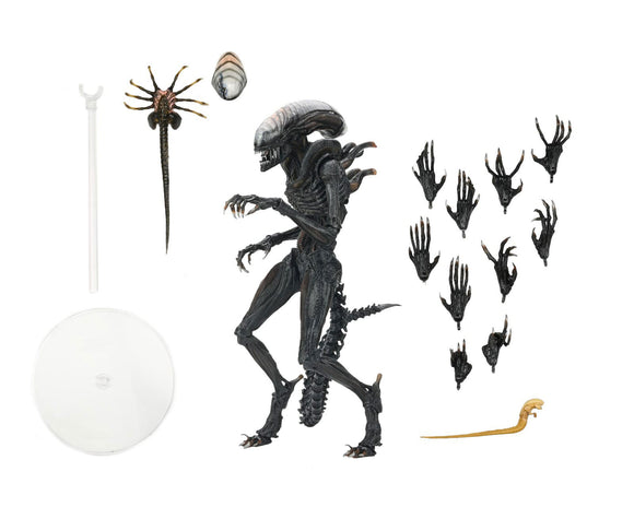 [PRE-VENTA] Figura Alien Romulus Scorched Xenomorph 7 Pulgadas NECA 51741 [PRECIO REGULAR S/265]