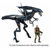 Figura Alien Queen Deluxe Action Figure NECA NC-5138 ALIENS
