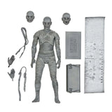 Figura de La Momia Universal Monster NECA | Edición de Coleccionista | 7 Pulgadas NC-04812