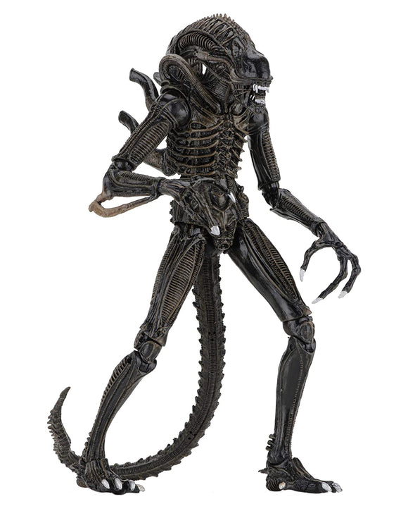 Figura Xenomorph Warrior de Aliens NECA 51387/51390