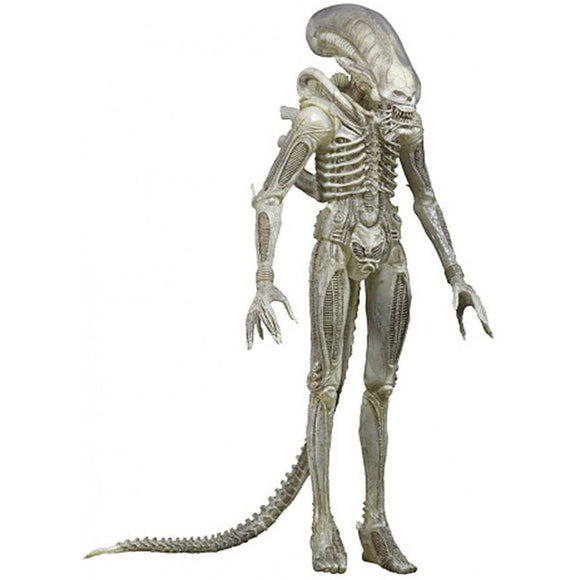 FIGURA ALIEN PROTOTYPE 18CM (51593) NECA NC-51596