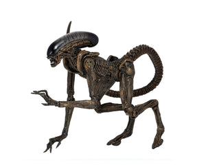 FIGURA ALIEN DOG ALIENS 3 51597 NECA