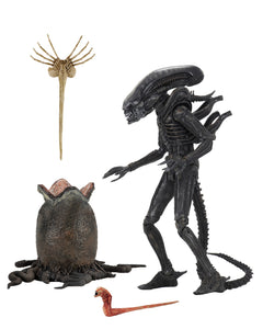 FIGURA ALIENS  BIG CHAP- 7" 23 CM 40 ANIVERSARIO NECA NC-51646