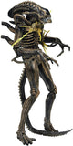 FIGURA XENOMORPH WARRIOR ALIENS NECA (51681) 51681