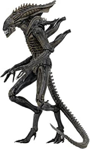 Figura Xenomorph Aliens 51632-35 NECA