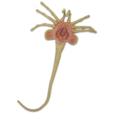 "Vista cercana de la réplica Facehugger destacando sus texturas orgánicas y diseño fiel al original."