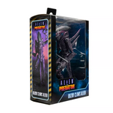 “Caja de colección Alien vs Predator Razor Claws con ventana frontal.”