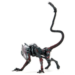 Figura Alien Puma Nocturno Tributo Kenner NECA NC-51716